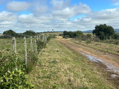 Campos y Chacras en Venta en Cerro Pelado, Lavalleja