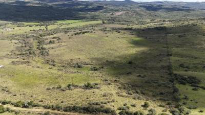 Campos y Chacras en Venta en Carape, Maldonado