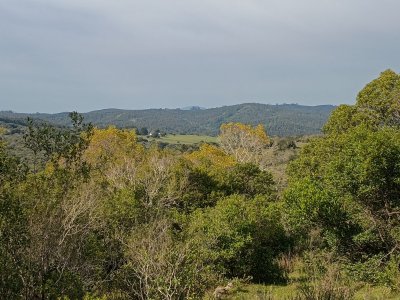 Campos y Chacras en Venta en Minas, Lavalleja