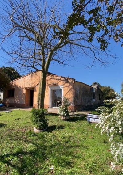 Chacra en Venta en Salto, Salto