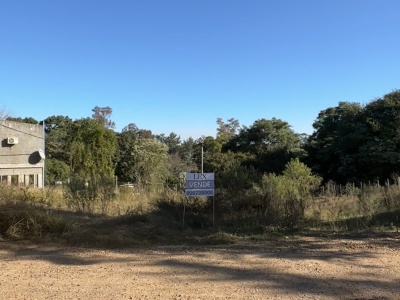 Terrenos en Venta en Salto, Salto