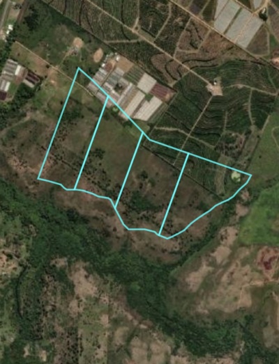 Chacra en Venta en Salto, Salto