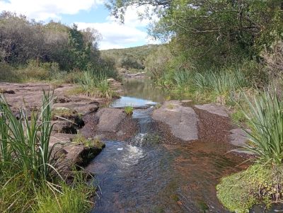 Chacra en Venta en San Carlos, Maldonado