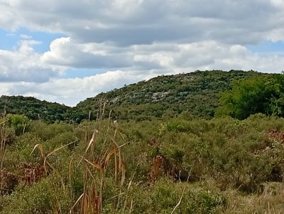 Chacra en Venta en San Carlos, Maldonado