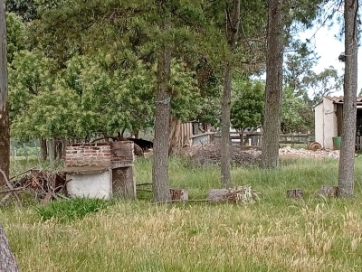 Chacra en Venta en San Carlos, Maldonado
