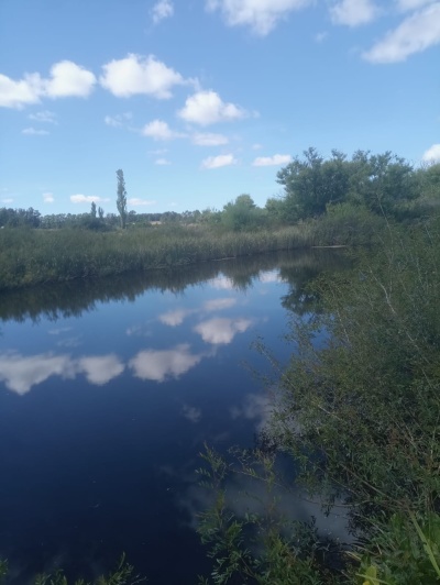 Chacra en Venta en San Carlos, Maldonado