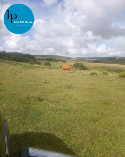 Chacra en Venta en Pueblo Edén, Maldonado