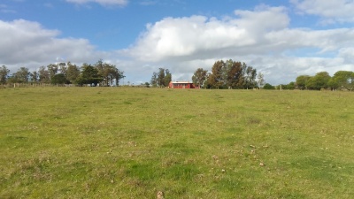 Chacra en Venta en San Carlos, Maldonado