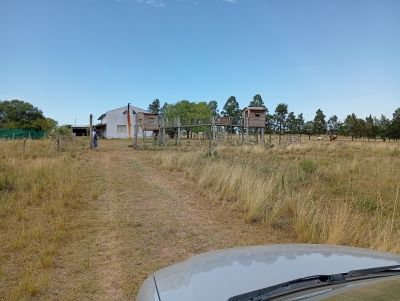 Chacra en Alquiler en Las Cañas, Maldonado