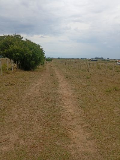 Chacra en Venta en San Carlos, Maldonado