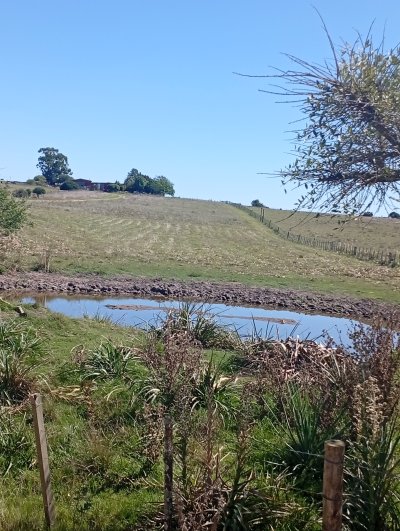 Campos y Chacras en Venta,  Alquiler en San Carlos, Maldonado