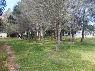 Campos y Chacras en Venta en Las Garzas, Rocha