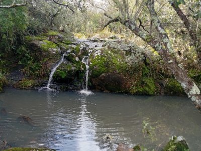 Campos y Chacras en Venta en Corte De La Leña, Maldonado