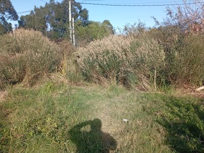 Terrenos en Venta en Balneario Buenos Aires, Maldonado