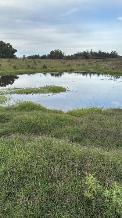 Campo en Venta en San Carlos, Maldonado