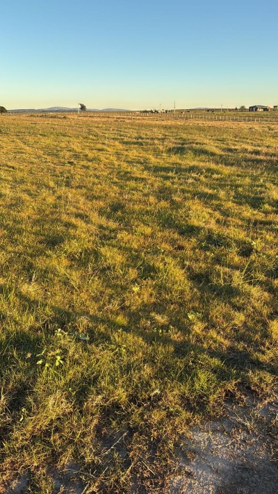 Campo en Venta en San Carlos, Maldonado