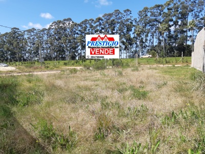 Terreno en Venta en Proyecto Volcán, Salto, Salto