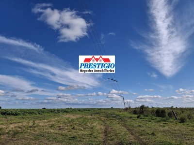 Chacra en Venta en Barrio Albisu, Salto, Salto