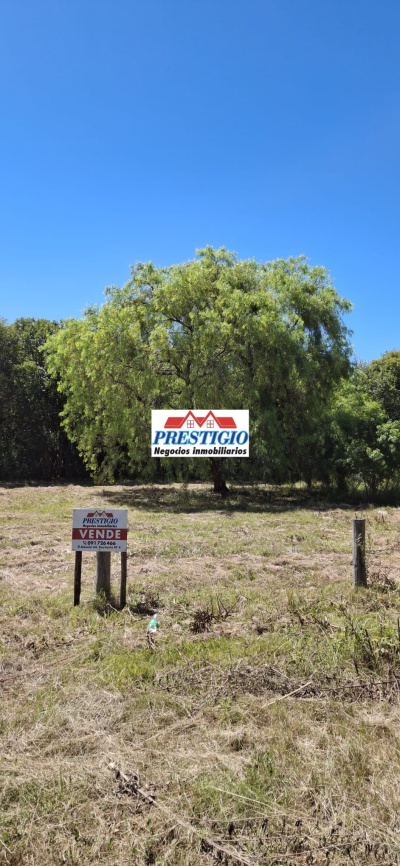 Terrenos en Venta en Termas de Dayman, Salto, Salto