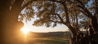 Chacra en Venta en Grutas de Salamanca, Maldonado