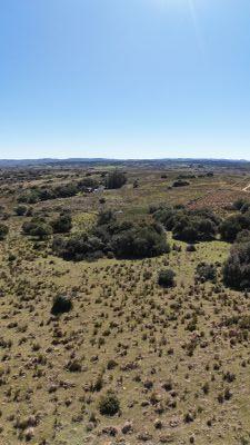 Campos y Chacras en Venta en Garzón , Maldonado