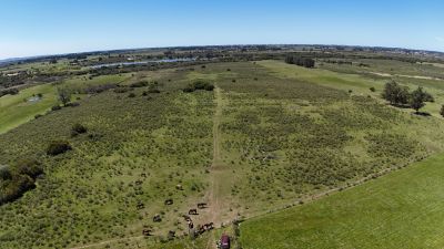 Campos y Chacras en Venta en San Carlos, Maldonado