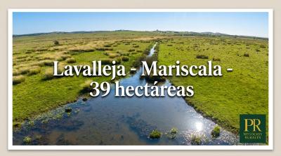 Campos y Chacras en Venta en Mariscala, Lavalleja