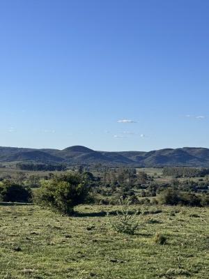 Campo en Venta en Villa Serrana, Lavalleja