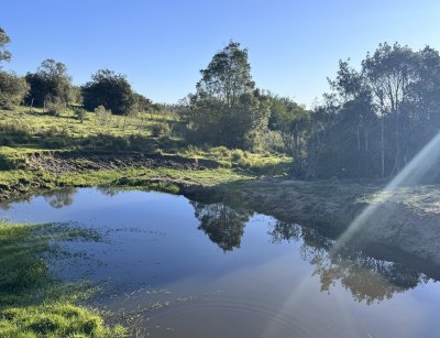 Campo en Venta en Villa Serrana, Lavalleja