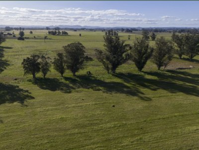 Chacra en Venta en La Paloma, Rocha