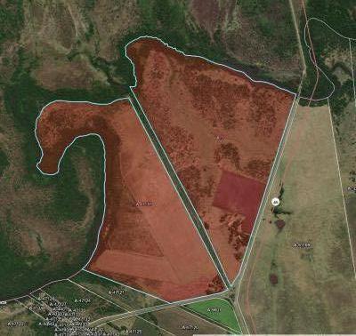 Campo en Venta en Aguas Corrientes, Canelones