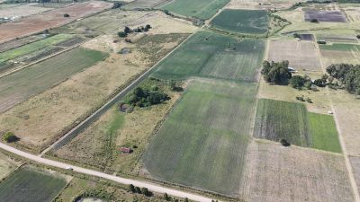 Campo en Venta en Migues, Canelones