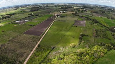 Chacra en Venta en Las Violetas, Canelones