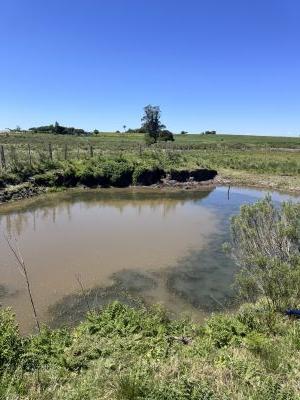 Chacra en Venta en Tala, Canelones