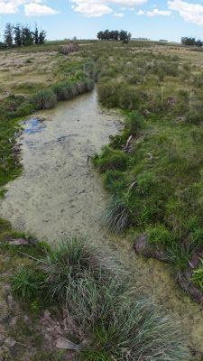 Campo en Venta en Tala, Canelones