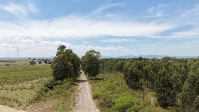 Campo en Venta en Migues, Canelones