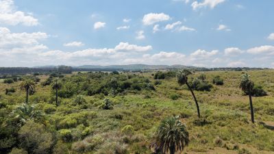 Campos y Chacras en Venta en Las Cañas, Maldonado