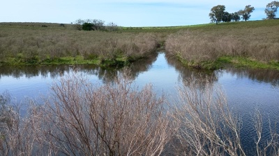 Campo en Venta en Villa Serrana, Lavalleja