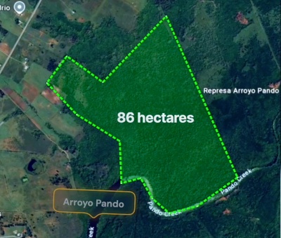 Campos y Chacras en Venta en Pando, Canelones