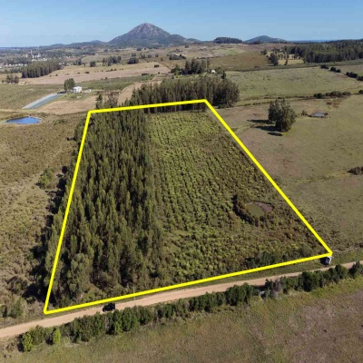 Chacra en Venta en Pan de Azúcar, Maldonado