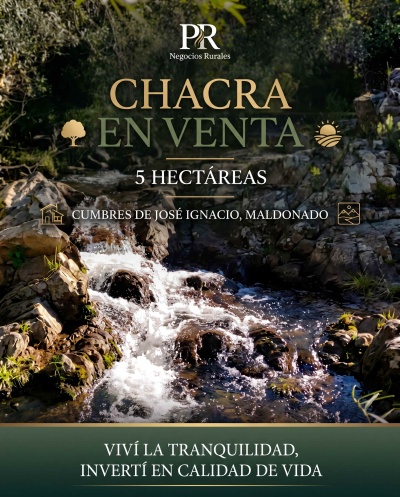 Campos y Chacras en Venta en Aiguá, Maldonado