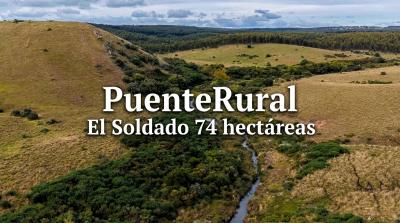 Campos y Chacras en Venta en 