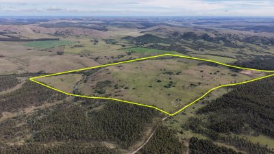 Campos y Chacras en Venta en El Soldado, Lavalleja