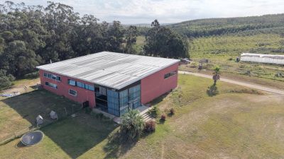 Campos y Chacras en Venta en 19 De Abril, Rocha