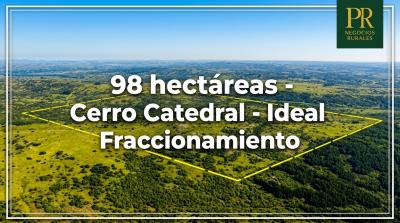 Campos y Chacras en Venta en Carape, Maldonado