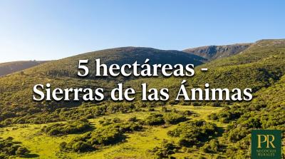 Campos y Chacras en Venta en 
