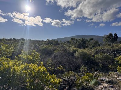 Campos y Chacras en Venta en Gregorio Aznarez, Maldonado