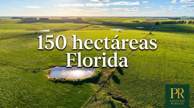 Campos y Chacras en Venta en Florida, Florida