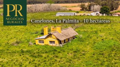 Campos y Chacras en Venta en La Palmita, Canelones