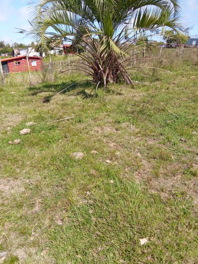 Terreno en Venta en Tacuarembó, Tacuarembó